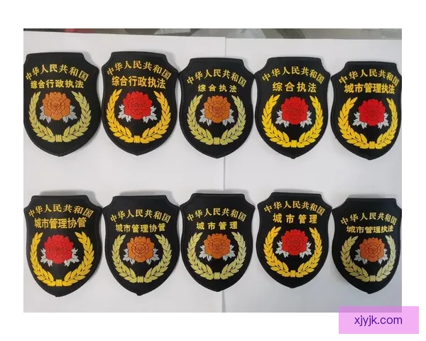 弗朗切斯科罗卡盛赞执法力量卓越 弗朗切斯科罗卡盛赞执法力量卓越